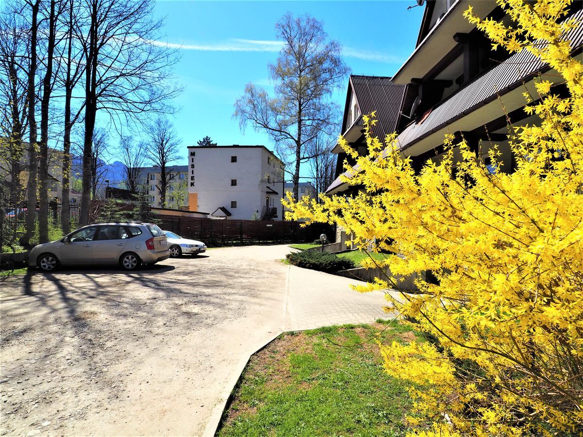Vip Apartamenty Centrum Przy Rowni Zakopane Ngoại thất bức ảnh
